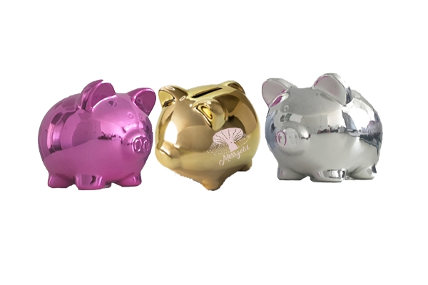 Messgeld Sparschwein mittel